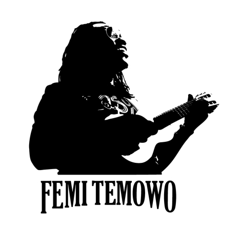 Femi Temowo Logo